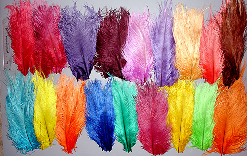 Ostrich Color Assortment – FeathersMC